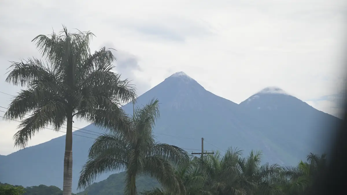 Die Zwillingsvulkane Fuego und Acatenango hinter Palmen aus dem Tiefland