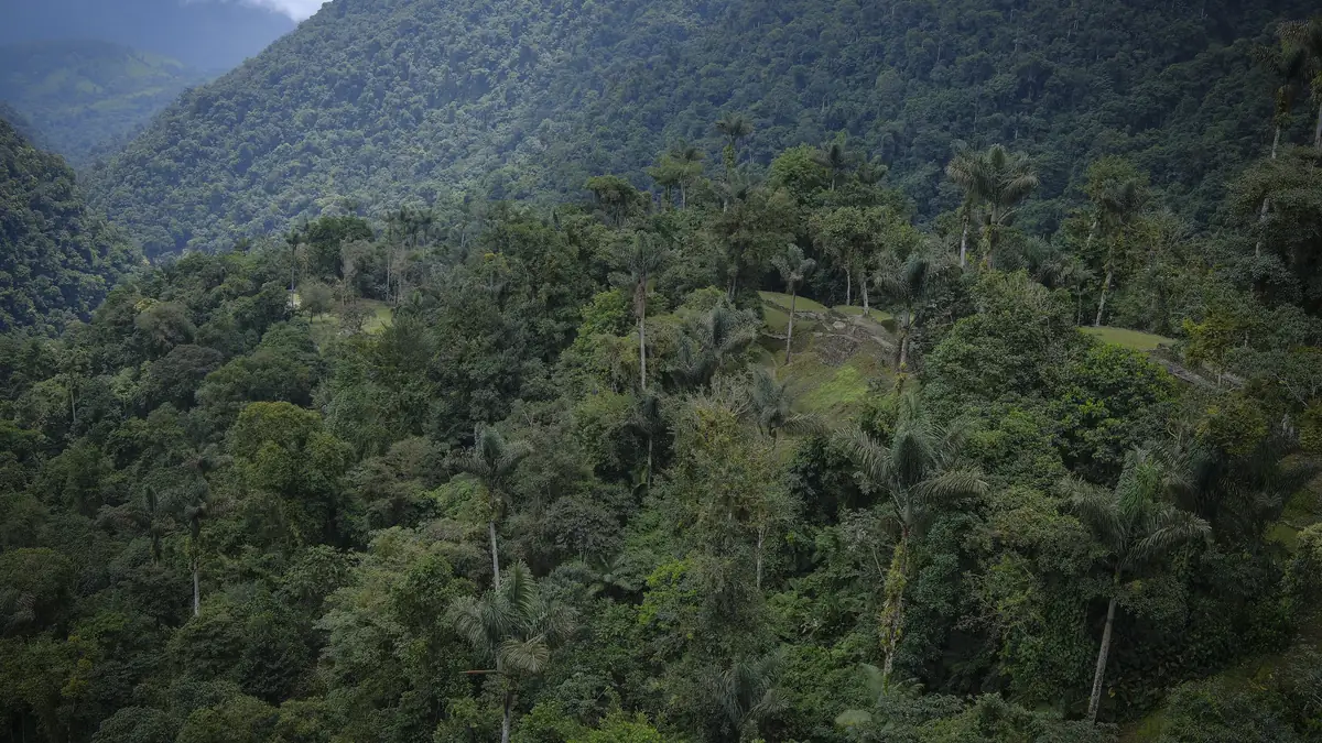 Die Terrassen von Teyuna aus der Luft, eingeschlossen vom Regenwald