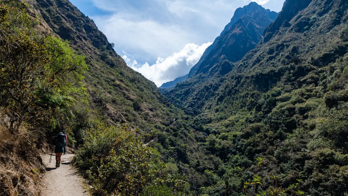 Wanderer auf dem Inca Trail im Tal, Nebelwald an den Hängen