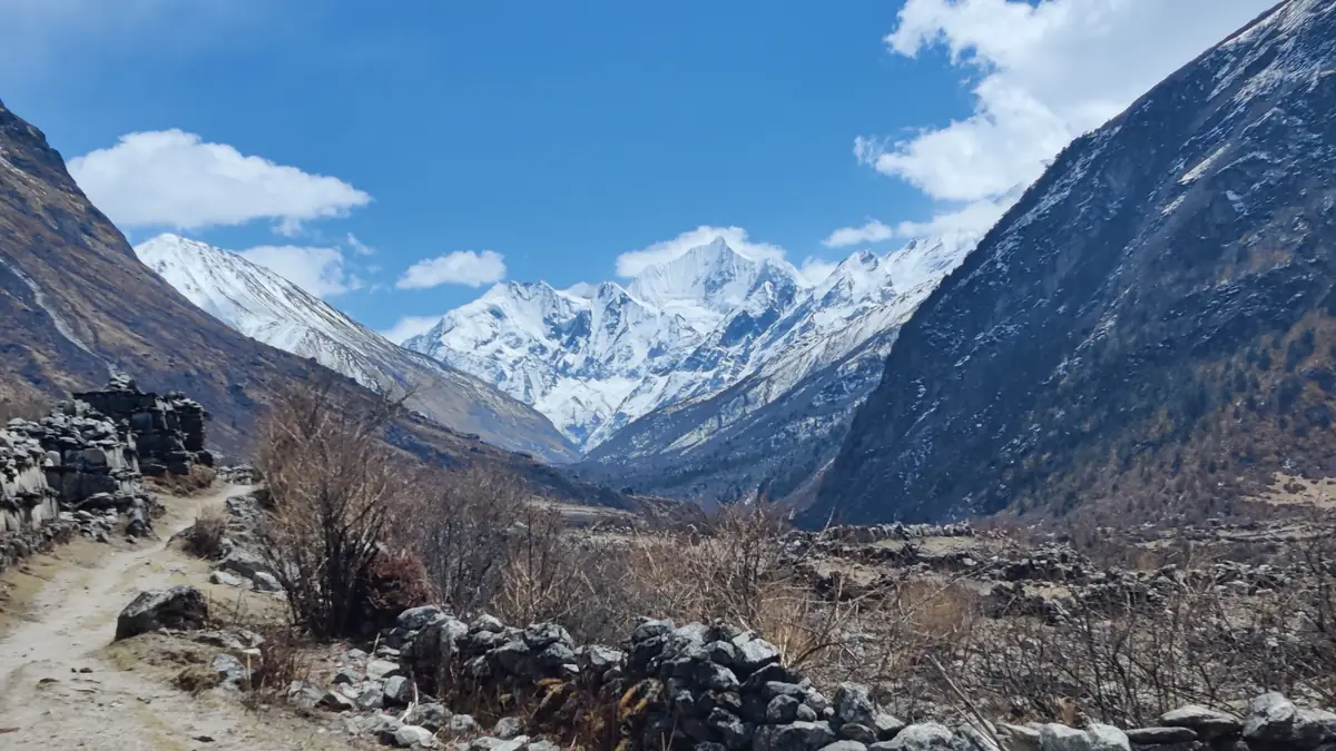 Der Weg durch das obere Langtang-Tal zwischen Mani-Mauern, im Talschluss der Langshisha Ri