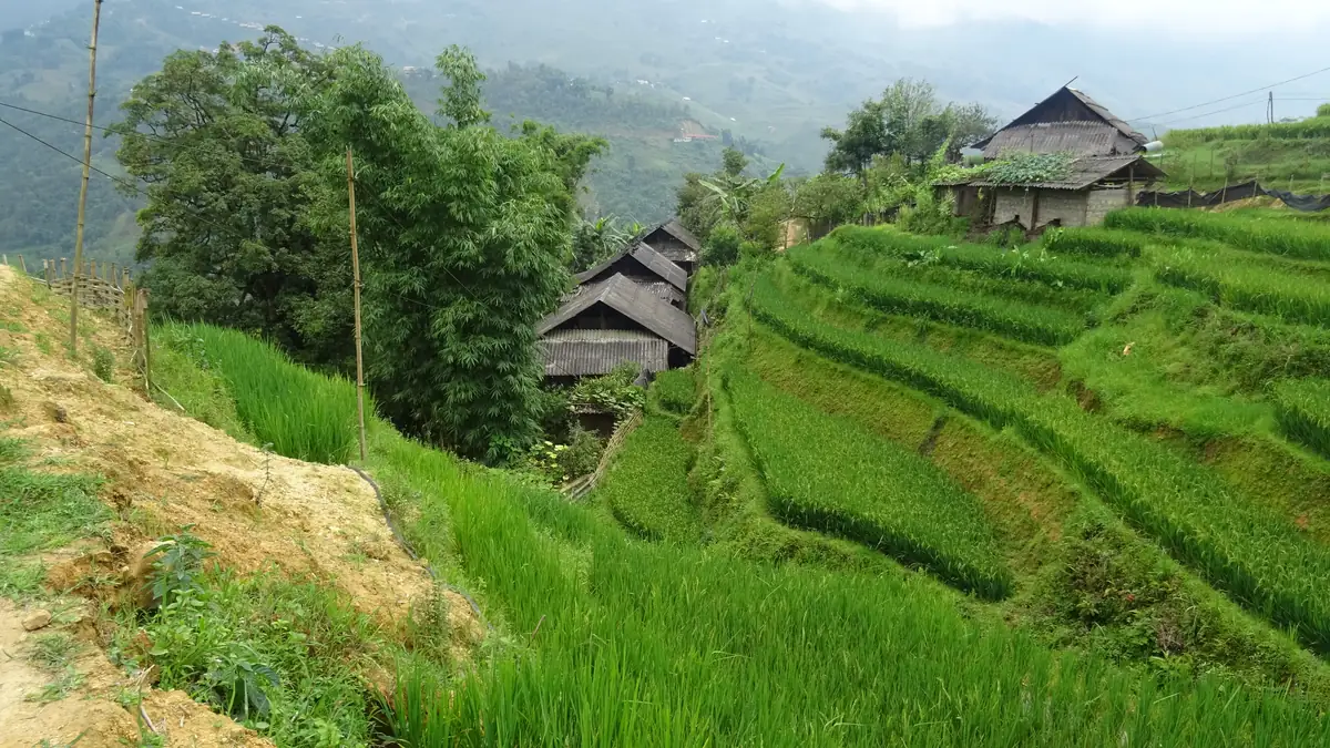 Black Hmong houses in Lao Chai on the terraces