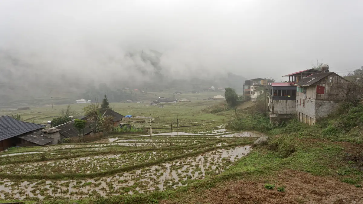 Paddy fields near Lao Chai in January mist