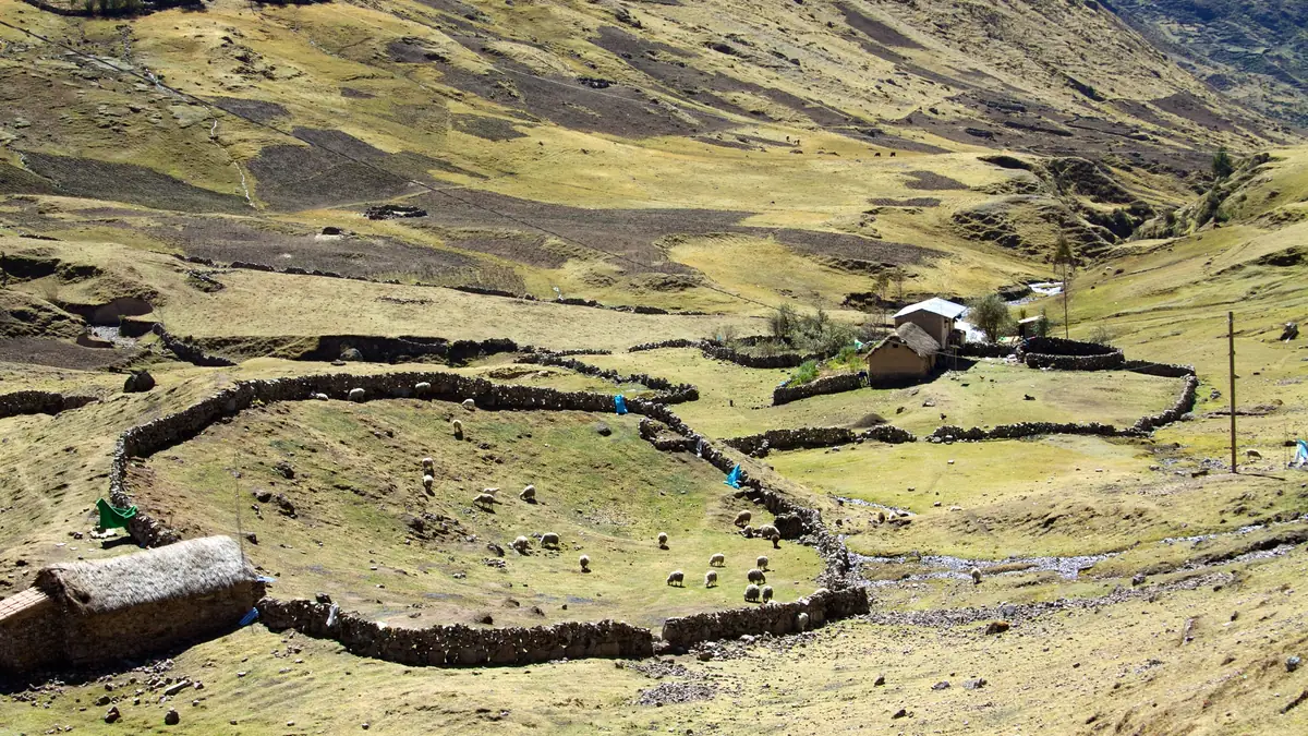 Stone walls and farmsteads of a highland community in the Lares valley