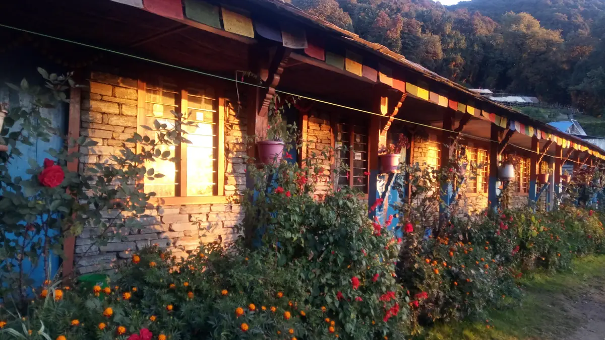 Lodge im Forest Camp, 2.600 Meter, im Abendlicht