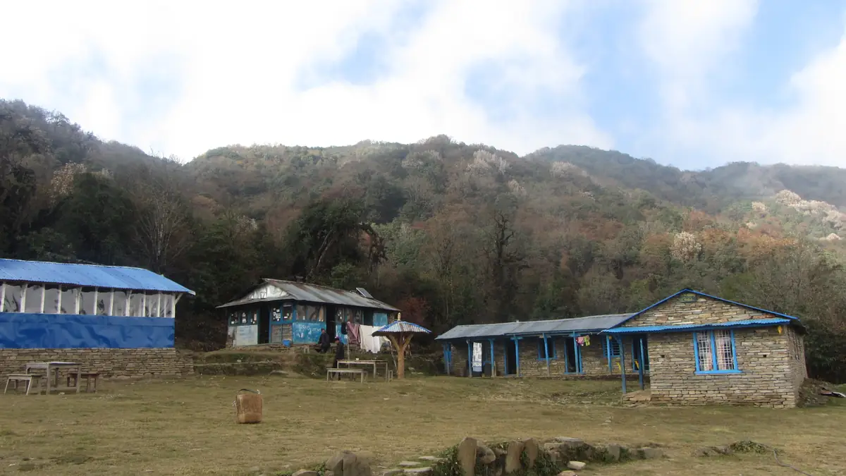 Low Camp, 2.990 Meter: Lodges auf der Lichtung im Nebelwald