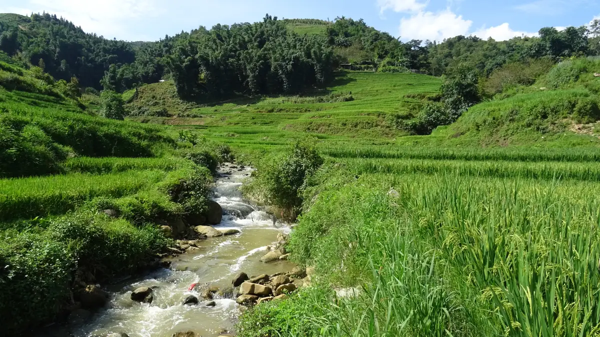 A stream between the rice fields of the Muong Hoa valley