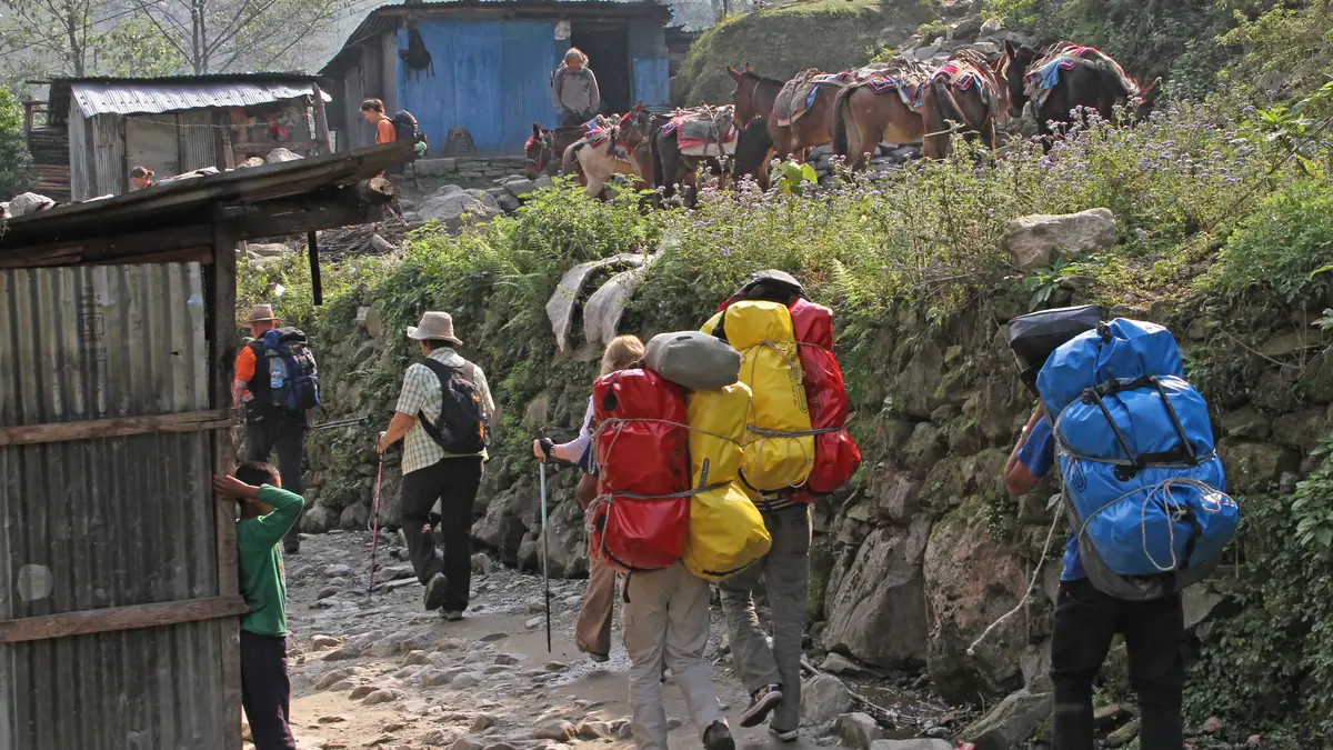 Trekkers and mules in Nayapul, the starting point of the Poon Hill trek