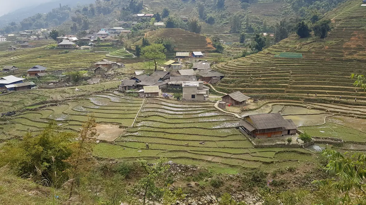 Ta Van: Holzhäuser der Giay zwischen Reisterrassen im Muong-Hoa-Tal
