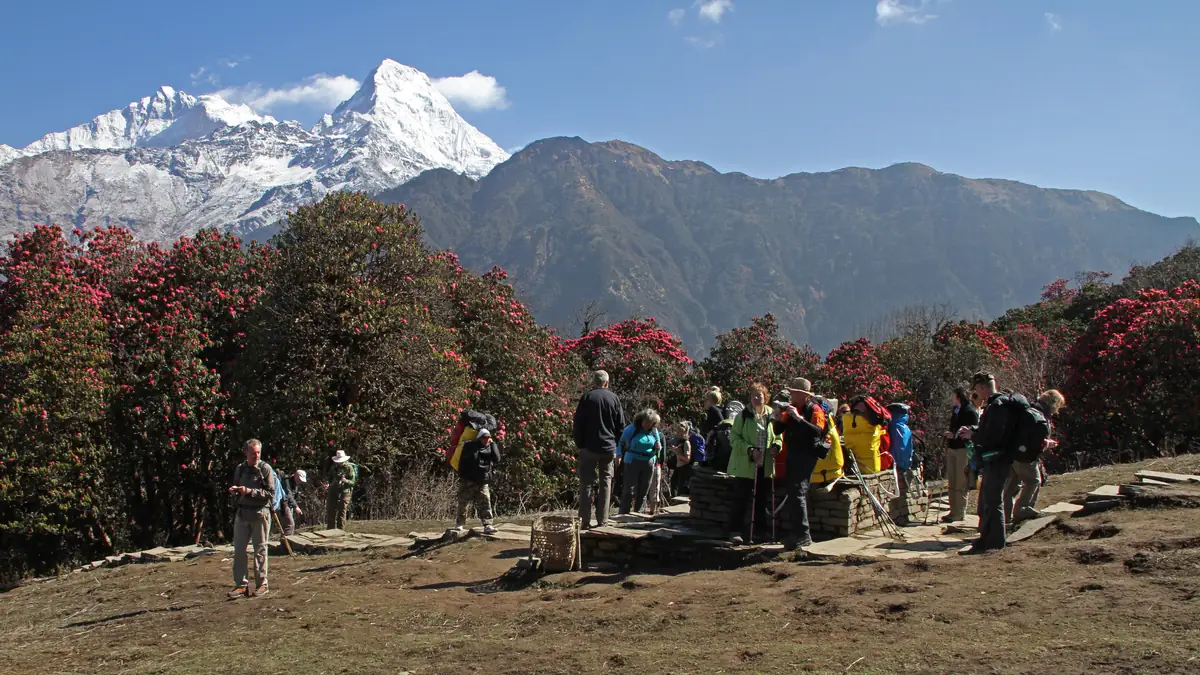 Rest stop on the trail from Ghorepani to Tadapani with a view of Annapurna South