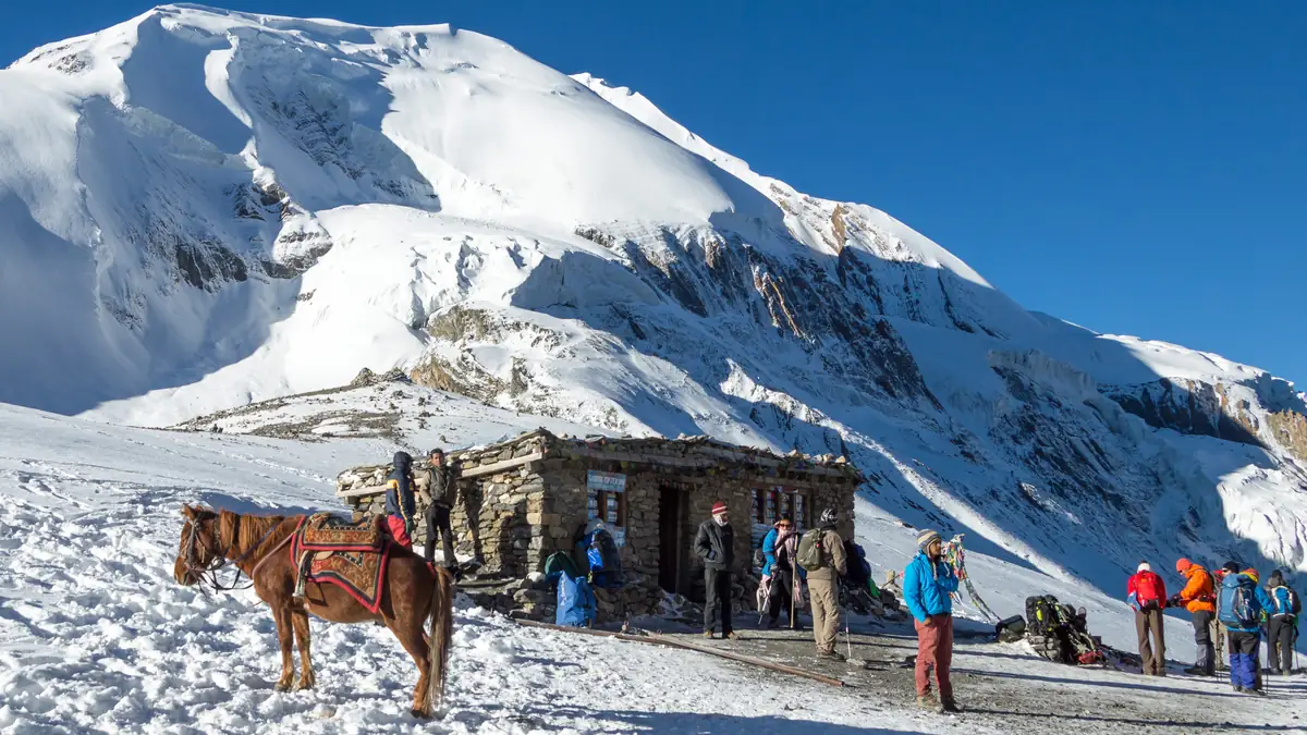 Trekker und Pferd am Teehaus auf dem Thorong La im Schnee