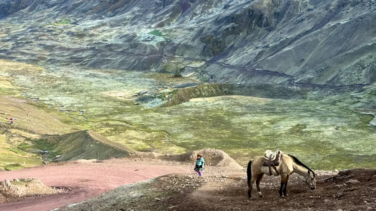 Ein gesatteltes Pferd auf dem Weg zum Vinicunca, dahinter das Tal mit der Anfahrtsstraße